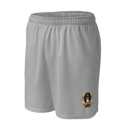 Universal Athlete Grey Unisex mesh shorts